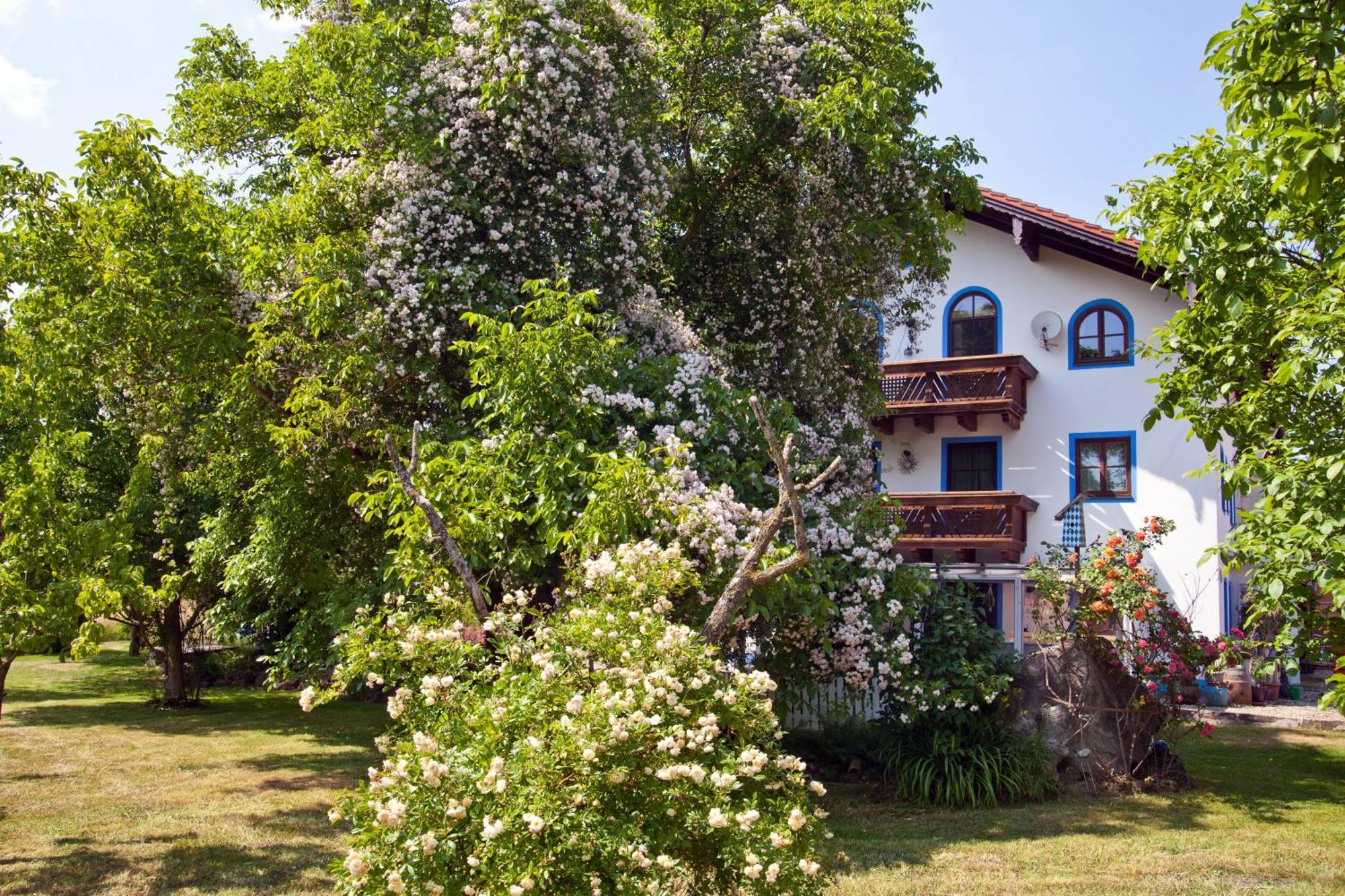 Ferienwohnung Moierhof Palling エクステリア 写真
